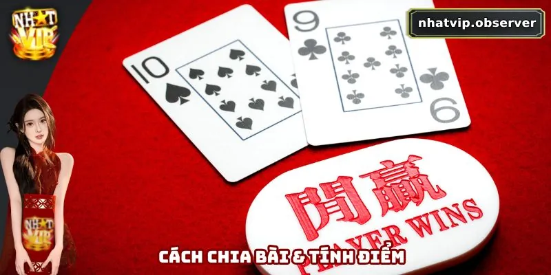 Baccarat Online - Đỉnh Cao Cá Cược, Chiến Thắng Trong Tay 2 Hướng dẫn cách chia bài và tính điểm dễ hiểu
